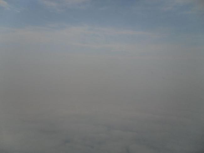 SAM_1167_resize.JPG